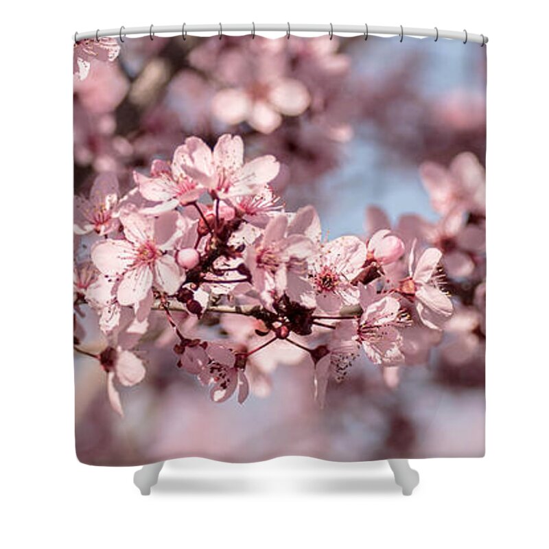 Flowers Shower Curtain featuring the photograph Pretty in Pink by Wendy Carrington