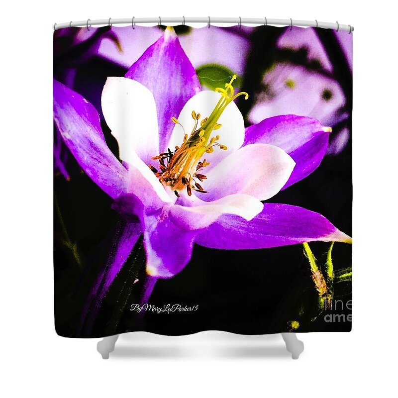 Photograph Shower Curtain featuring the photograph Pretty In Purple by MaryLee Parker