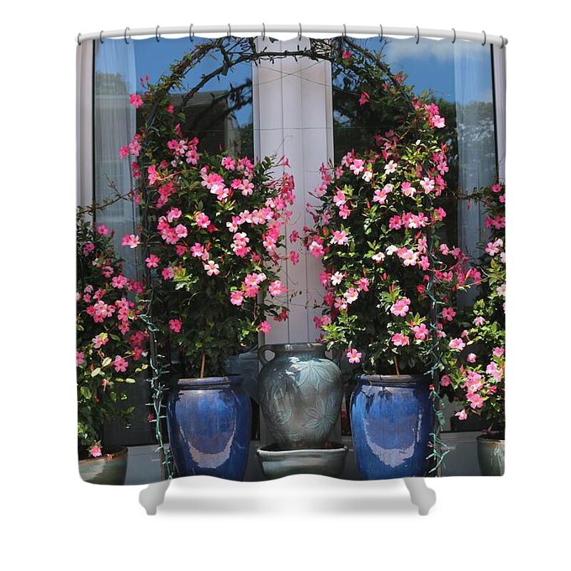 Floral Shower Curtain featuring the photograph Pretty Pots In Pink by Living Color Photography Lorraine Lynch