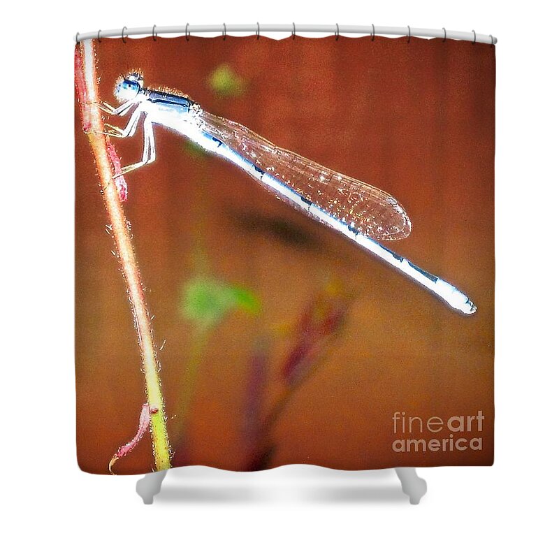 Tiny Dragonfly(or Damselfly) Shower Curtain featuring the photograph Pretty Tiny Dragonfly by Phyllis Kaltenbach