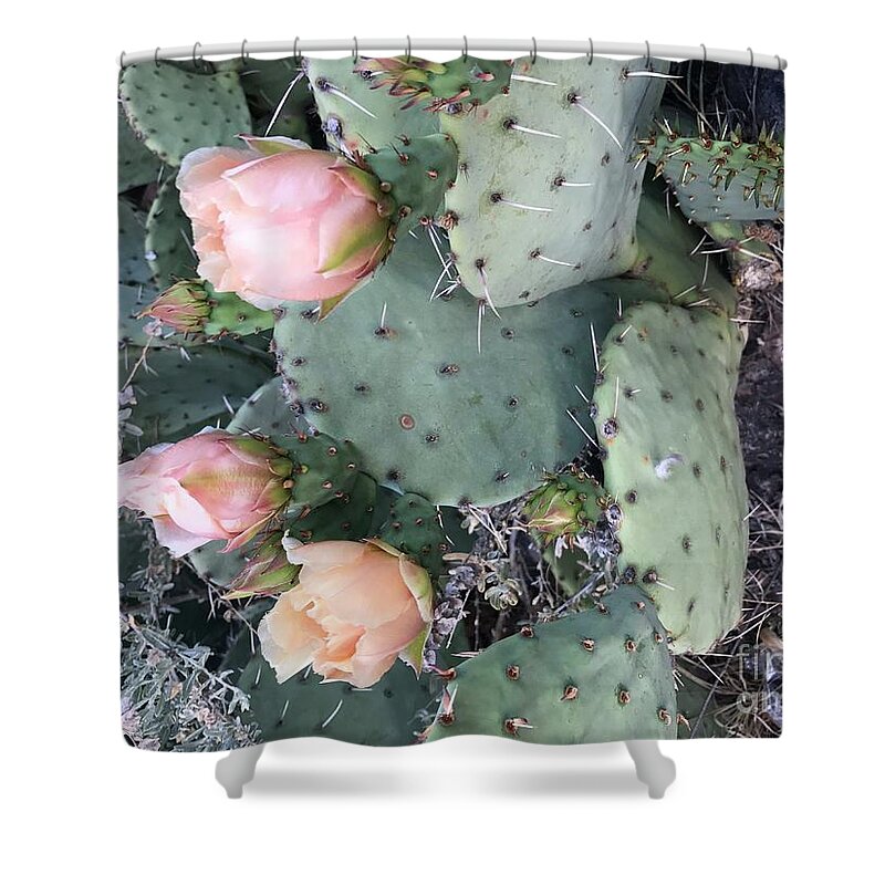 Cactus Prickly Pear Flower Shower Curtain featuring the photograph Prickly Pear by Erika Jean Chamberlin