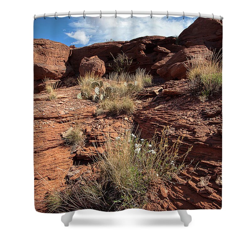 Utah Landscape Shower Curtain featuring the photograph Prickly Pear Slope by Jim Garrison
