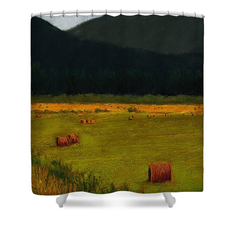 Landscape Shower Curtain featuring the painting Priest Lake Hay Bales by David Patterson