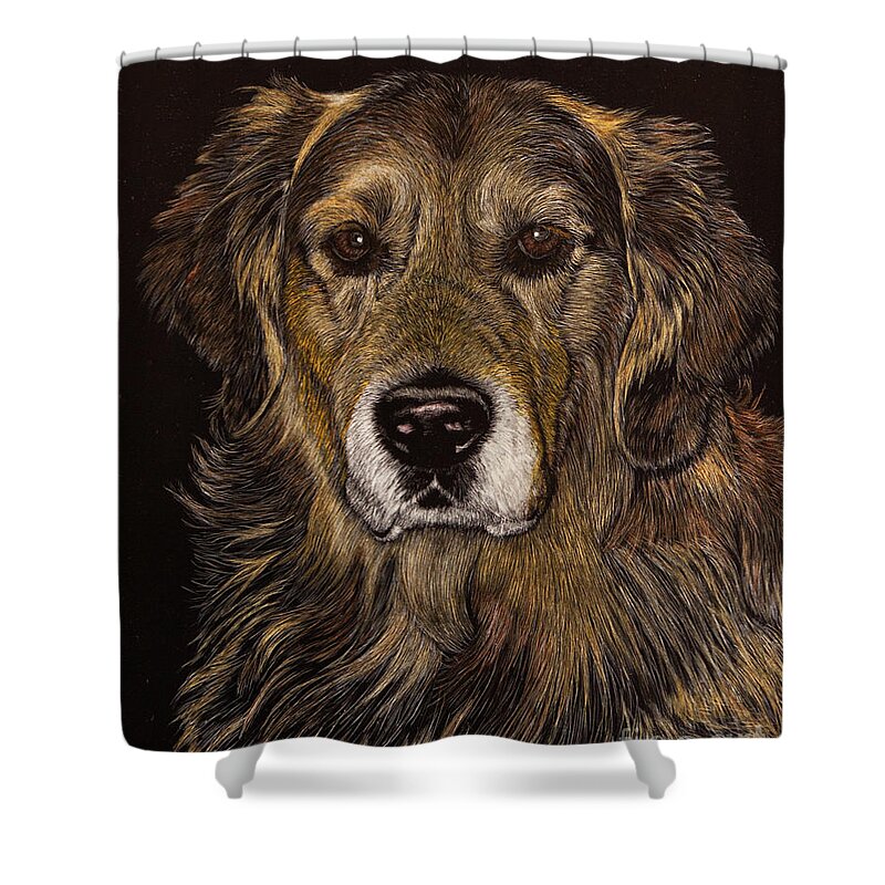 Golden Retriever Shower Curtain featuring the photograph Prince of Champions by Margaret Sarah Pardy