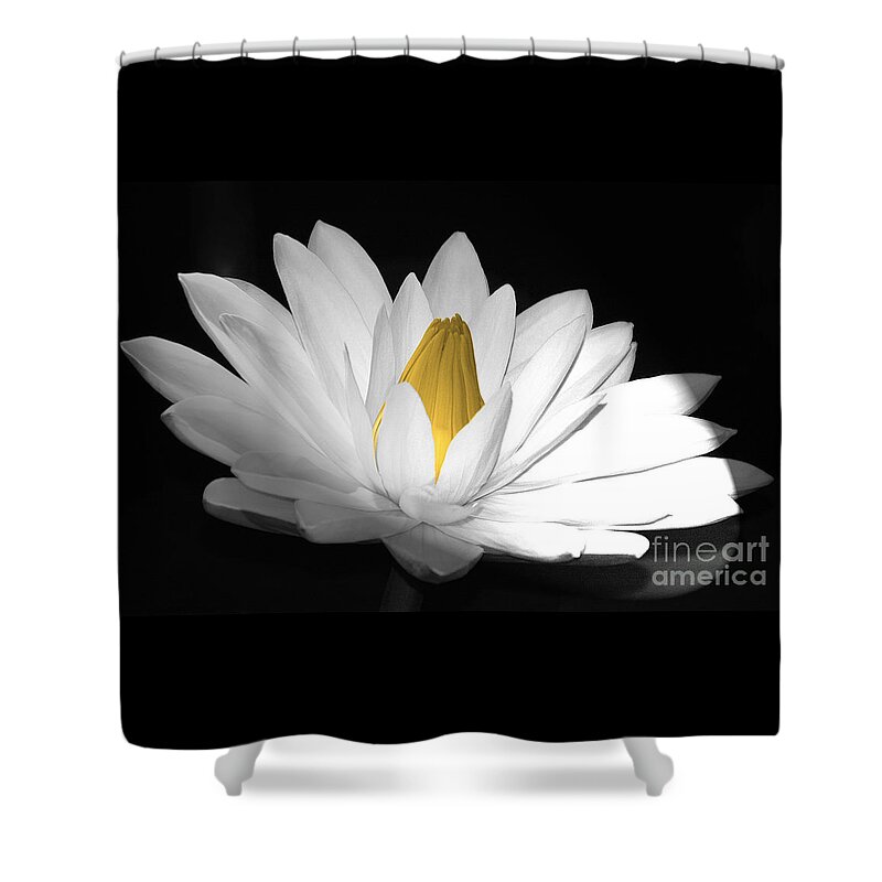 Flora Shower Curtain featuring the photograph Pristine by Cindy Manero