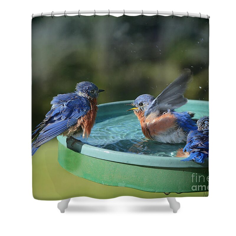 Nature Shower Curtain featuring the photograph Privacy Please by Nava Thompson