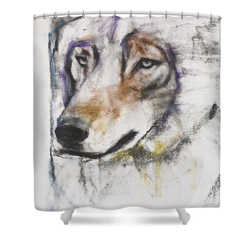 Wolf Shower Curtain featuring the painting Processo Al Lupo by Mark Adlington