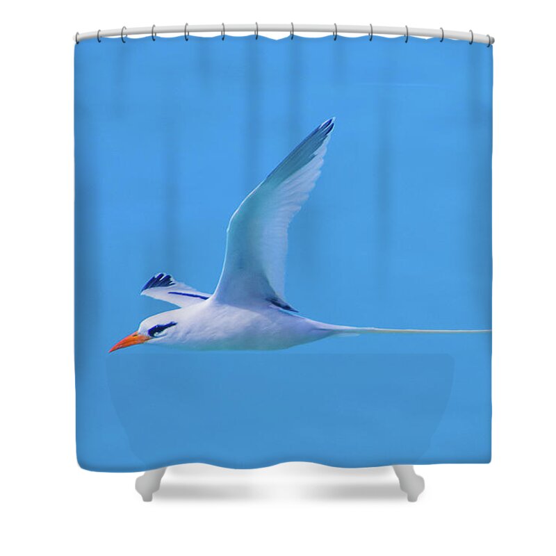 2018 Shower Curtain featuring the photograph Profile Fly-by by Jeff at JSJ Photography