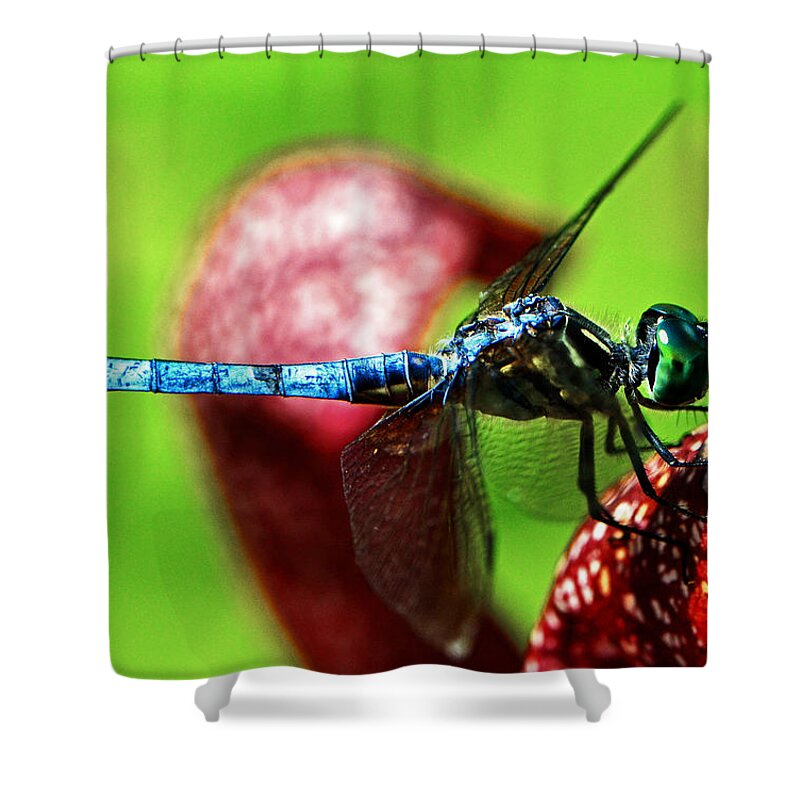 Dragonfly Shower Curtain featuring the photograph Profile Of A Dragonfly 003 by George Bostian