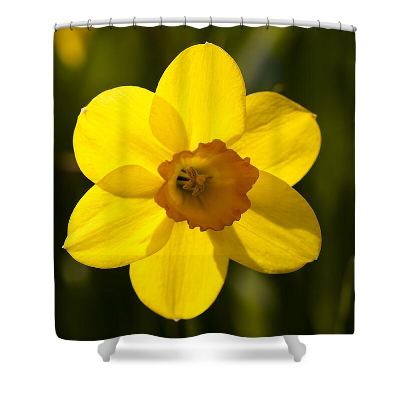  Shower Curtain featuring the photograph Projecting the Sun by Dan Hefle