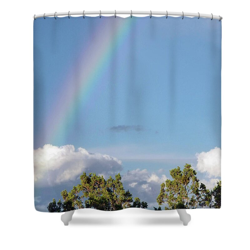 Rainbow Shower Curtain featuring the painting Prospecting by Brian Commerford