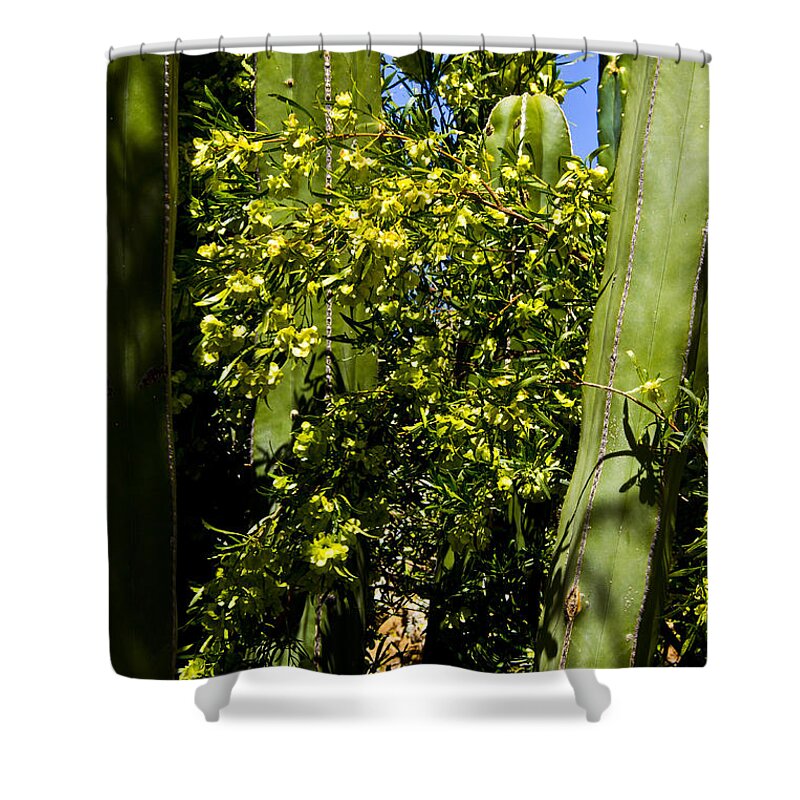Arizona Shower Curtain featuring the photograph Protected by Kathy McClure