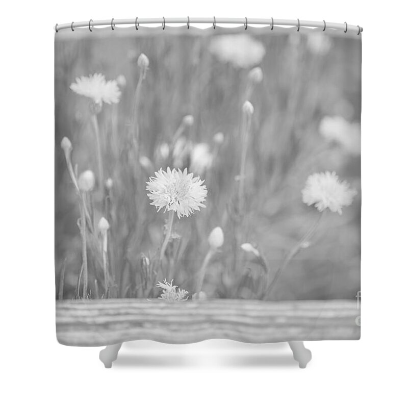 Flowers Shower Curtain featuring the photograph Protected by Lara Morrison