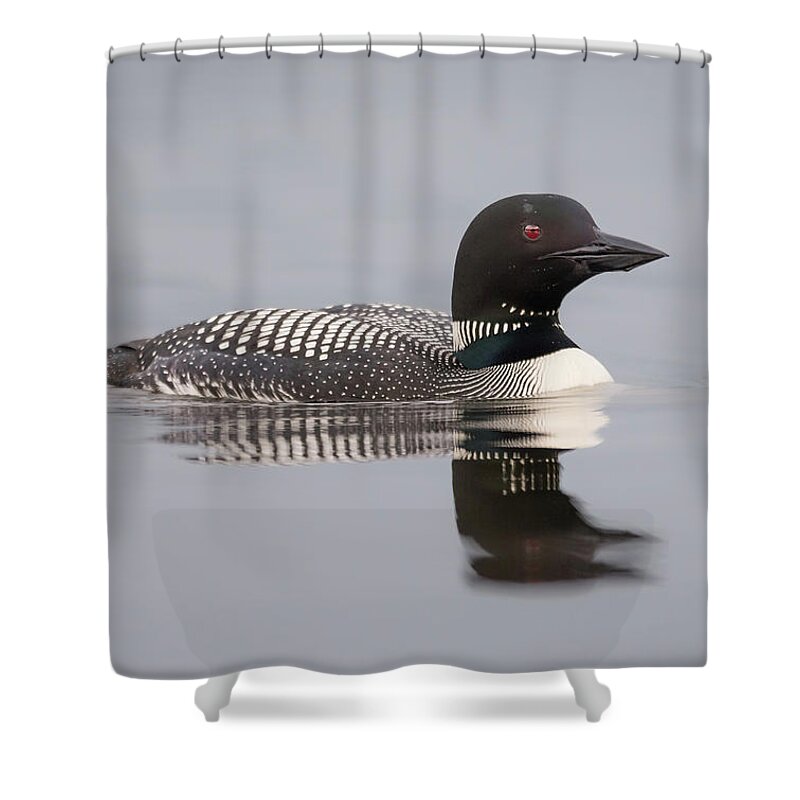 Nature Shower Curtain featuring the photograph Protecting the nest... by Ian Sempowski