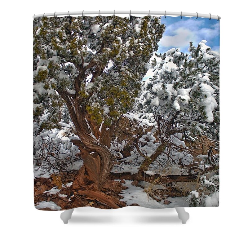 Snow Shower Curtain featuring the photograph Puffy Treetops by Tyler Adams