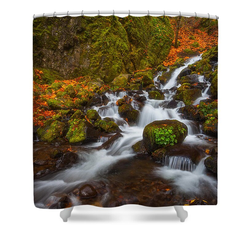 Fall Shower Curtain featuring the photograph Pumpkin Creamer by Darren White