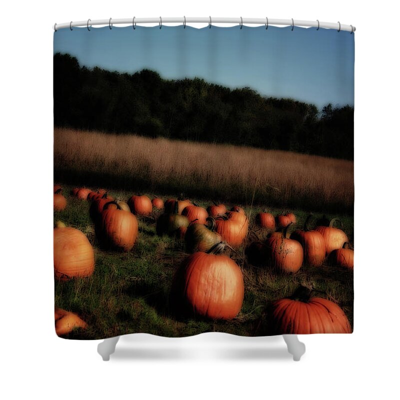 Field Shower Curtain featuring the photograph Pumpkin Field Shadows by Karen Adams