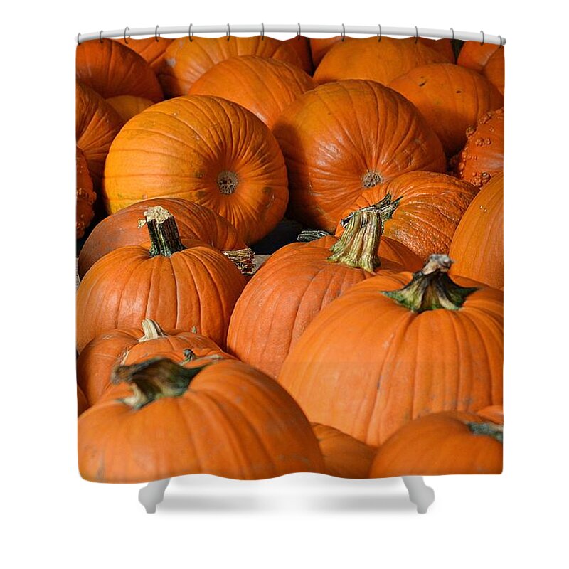 Pumpkin Shower Curtain featuring the photograph Pumpkin Patch by Carolyn Mickulas