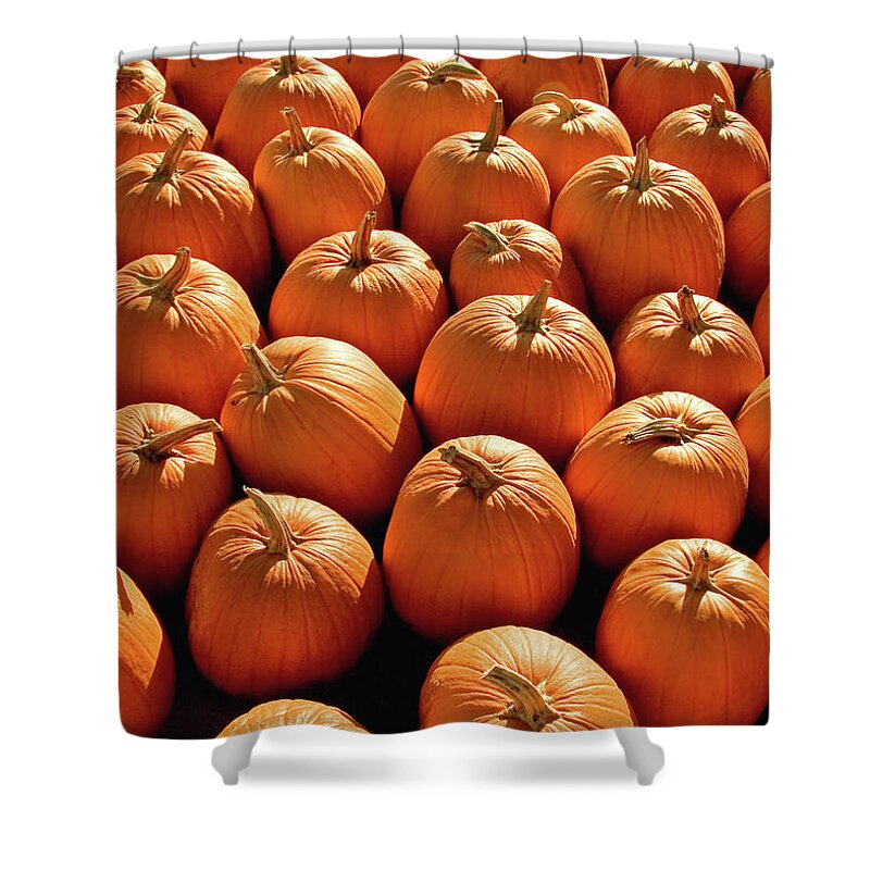 Pumpkins Shower Curtain featuring the photograph Pumpkin Pile by Todd Klassy