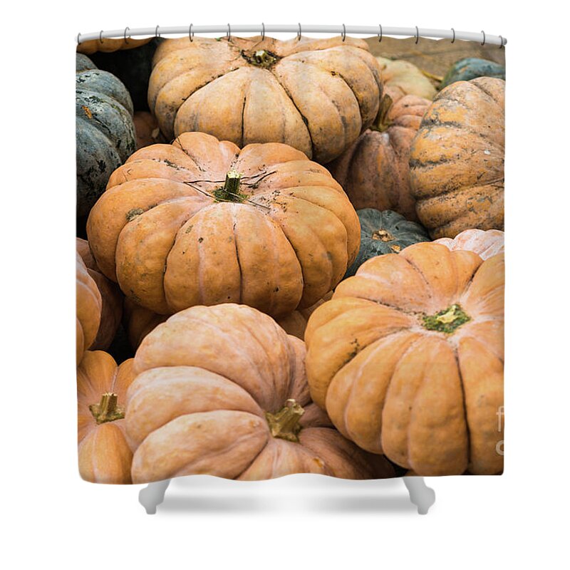 Autumn Shower Curtain featuring the photograph Pumpkins for sale in Korean market by Andrew Michael