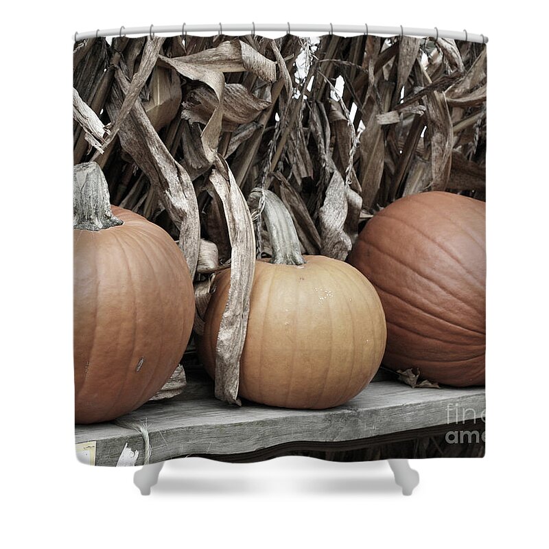 Pumpkin Shower Curtain featuring the photograph Pumpkins For Sale by Smilin Eyes Treasures