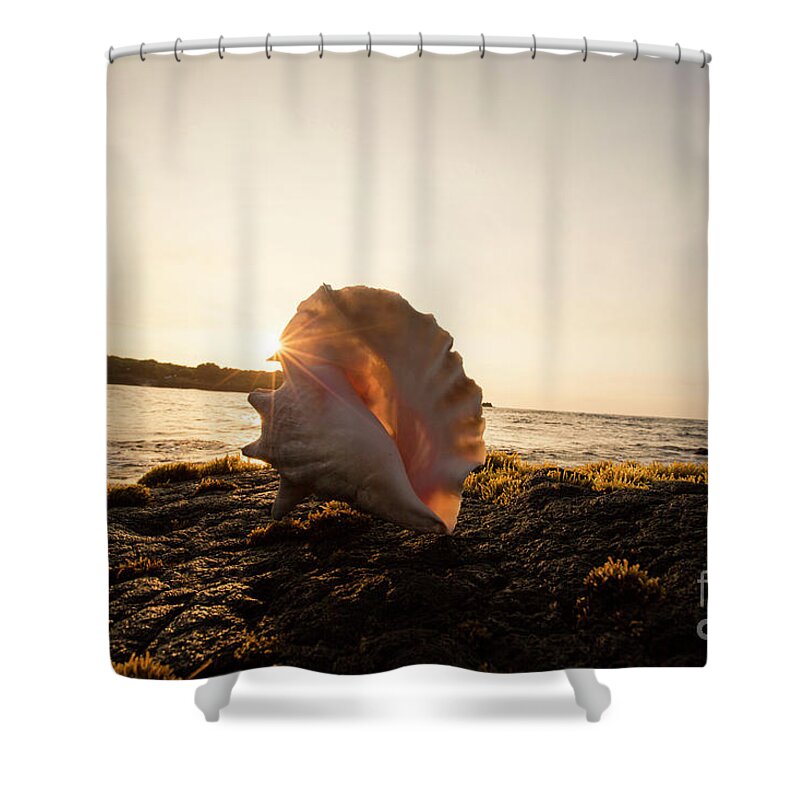 Photography Shower Curtain featuring the photograph Punaluu Beach 1 by Daniel Knighton