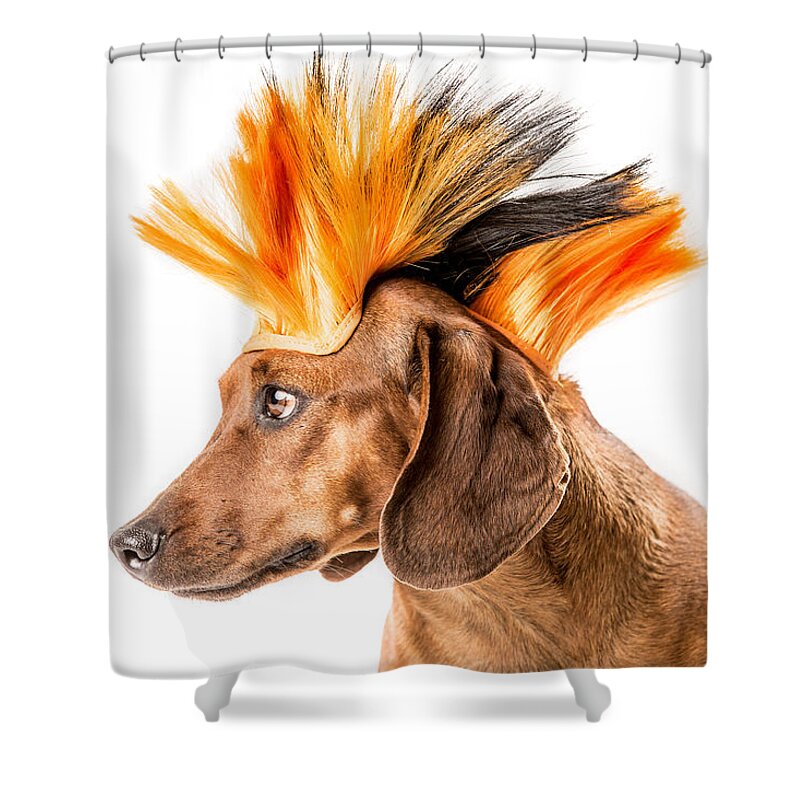 Roni B Shower Curtain featuring the photograph Punk Rock Dachshund by SR Green