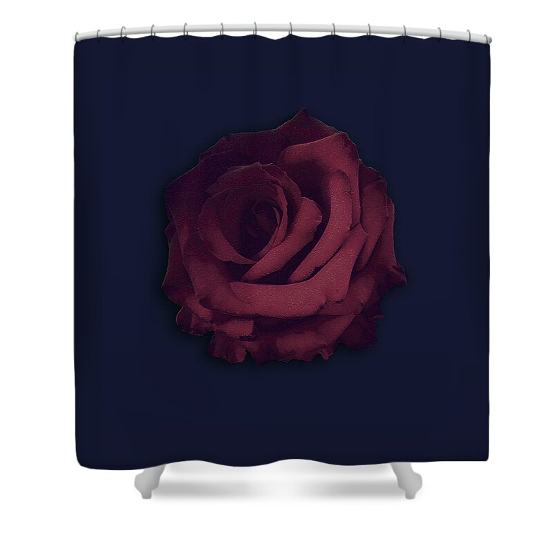 Rose Shower Curtain featuring the photograph Pure Rose by Miguel Angel