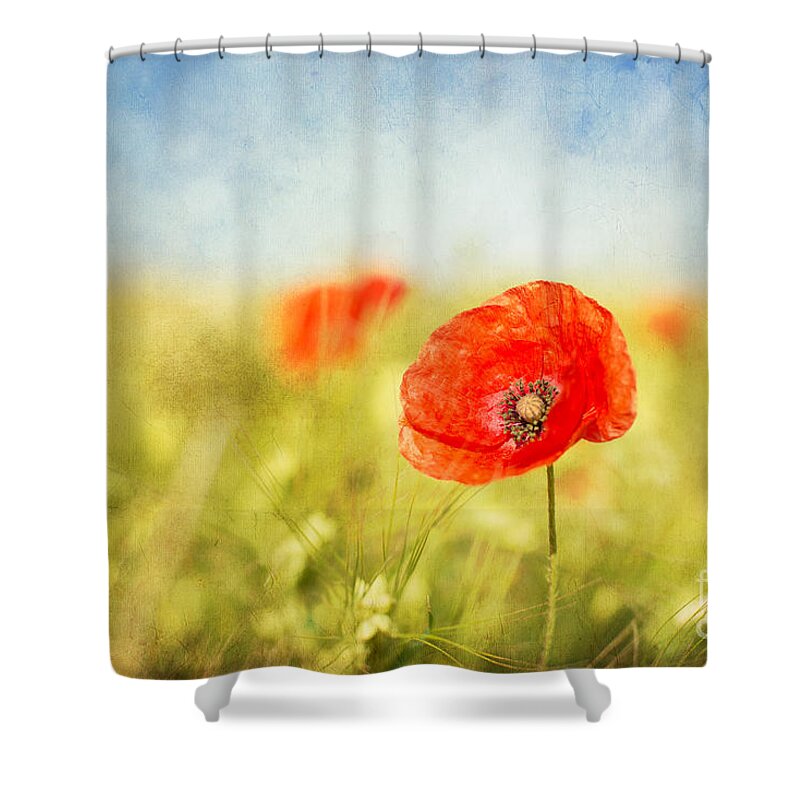 Agriculture Shower Curtain featuring the photograph Pure Summer Feelings by Hannes Cmarits