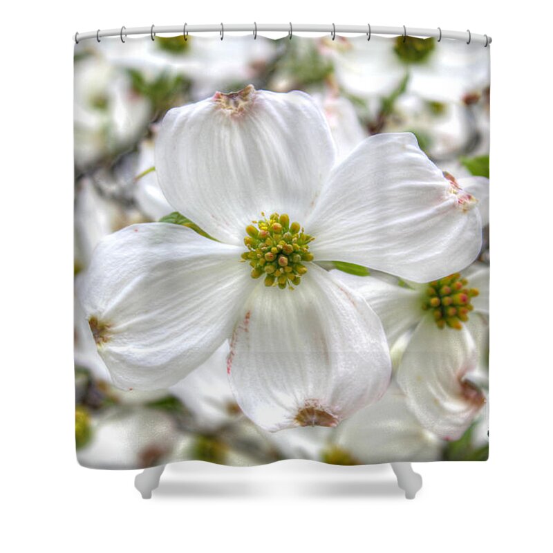 Abstract Shower Curtain featuring the digital art Pure White 1 by Dan Stone