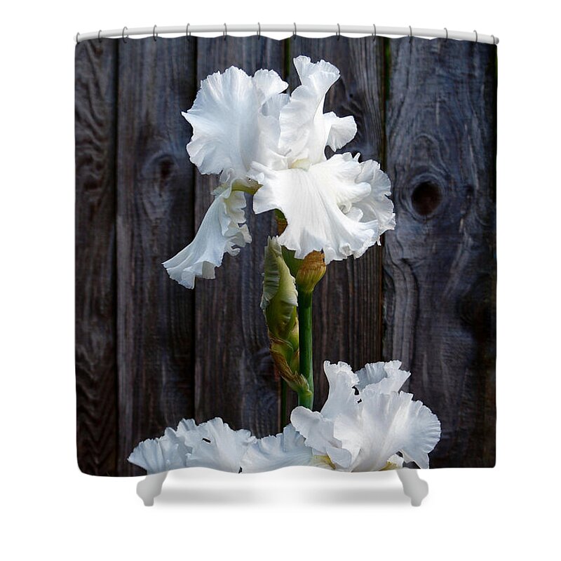 Iris Shower Curtain featuring the photograph Pureness by Nick Kloepping
