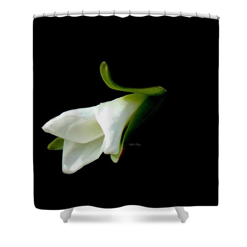 Trillium Shower Curtain featuring the photograph Purity by Wild Thing