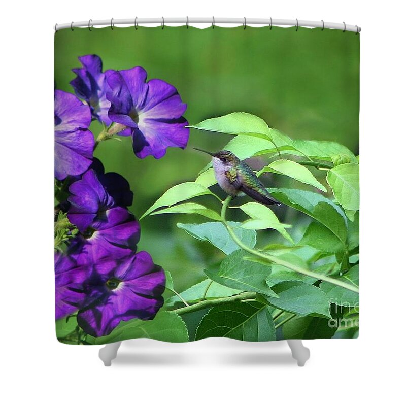 Bird Shower Curtain featuring the photograph Purple Attraction by Barbara S Nickerson