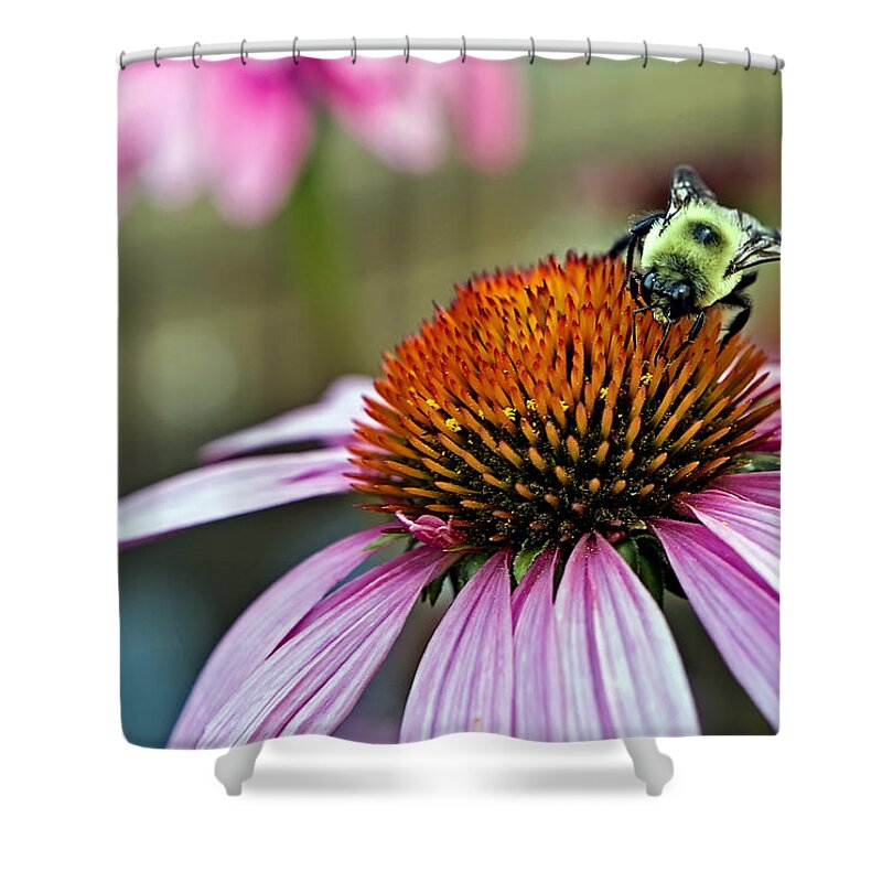 Macro Shower Curtain featuring the photograph Purple Cone Flower and Bee by Al Mueller