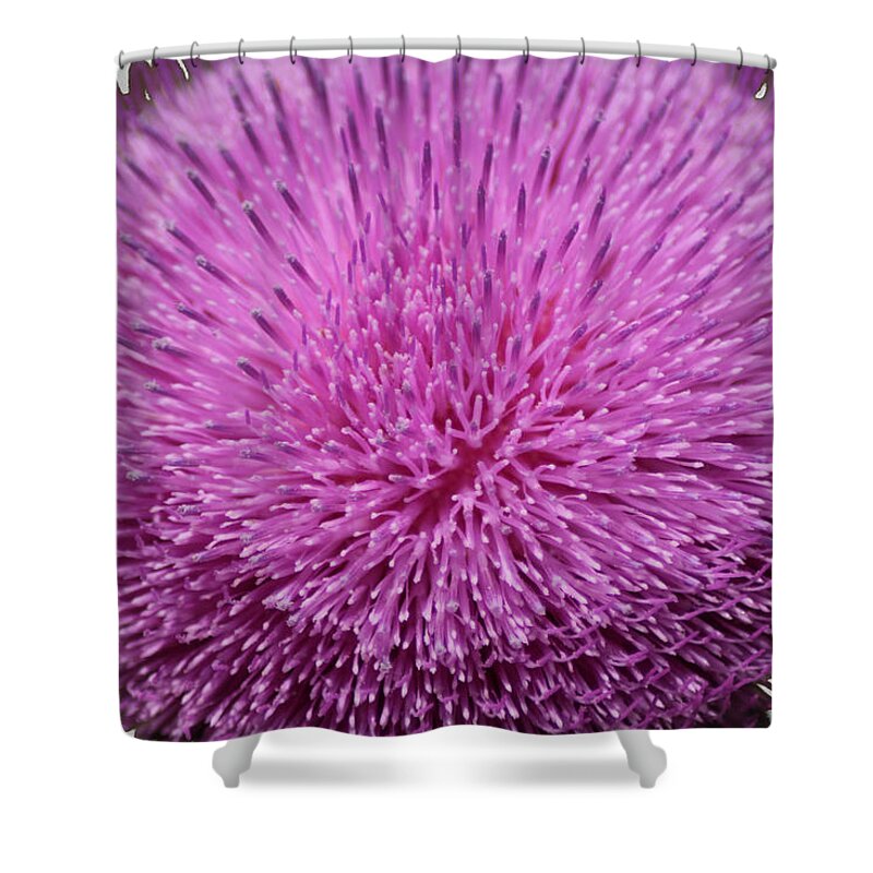 Purple Shower Curtain featuring the photograph Purple Elegance by Karen Wagner