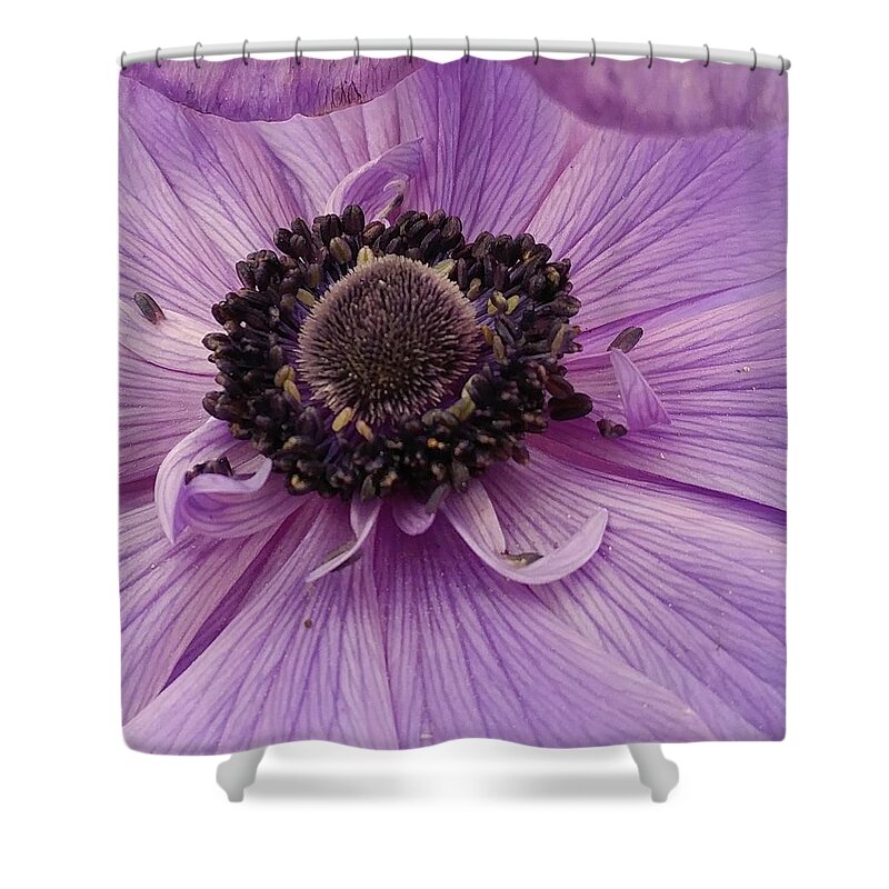 Flower Shower Curtain featuring the photograph Purple Explosion by Kathy Barney