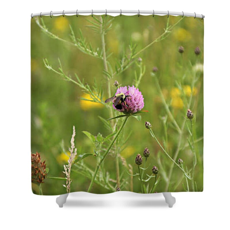 Purple Flower & Bee Shower Curtain featuring the photograph Purple flower and Bee by Susan Jensen