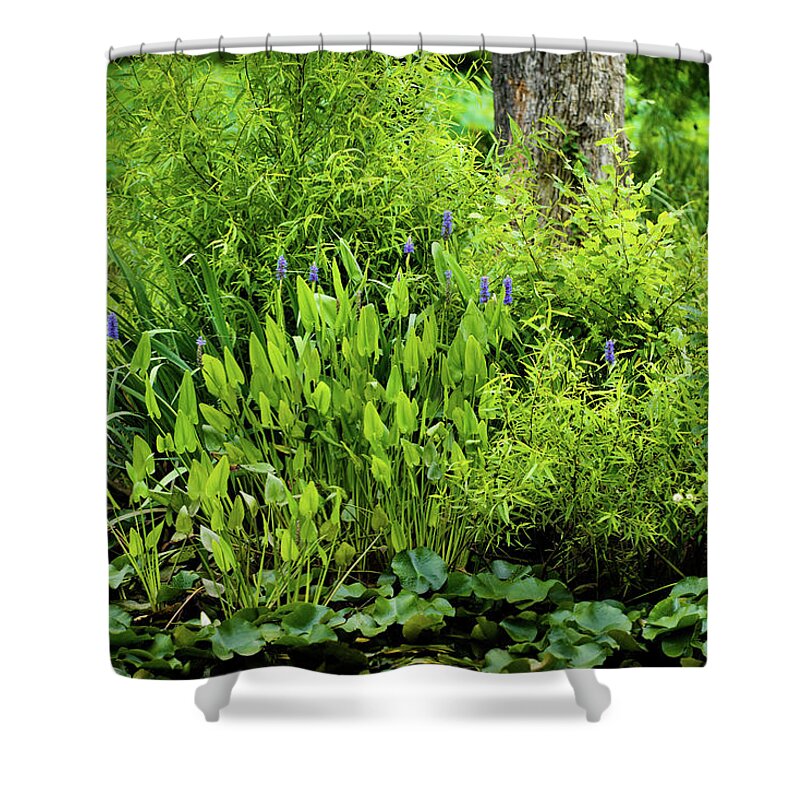 Bloom Shower Curtain featuring the photograph Purple Flowers by the Ponds Edge by Dennis Dame