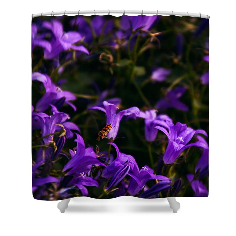  Shower Curtain featuring the photograph Purple Flowers by Manuel Parini