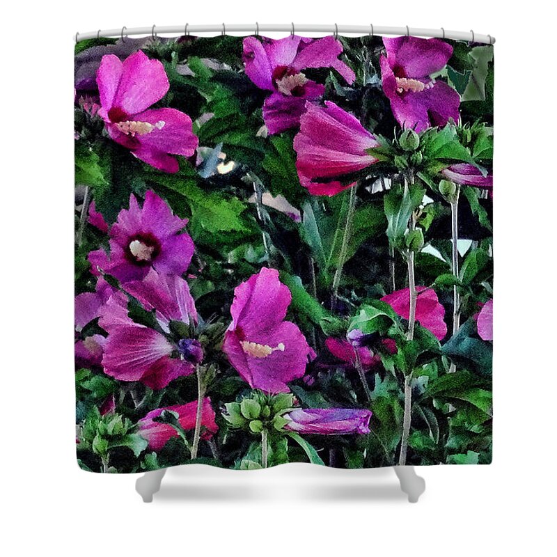 Flowers Shower Curtain featuring the photograph Purple Flowers by Mikki Cucuzzo
