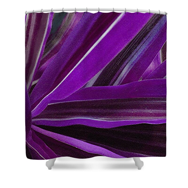 Leaves Shower Curtain featuring the photograph Purple Fronds by Carolyn Jacob