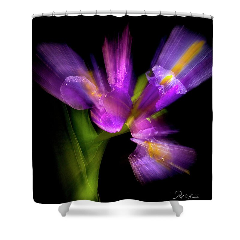 Iris Shower Curtain featuring the photograph Purple Iris by Frederic A Reinecke