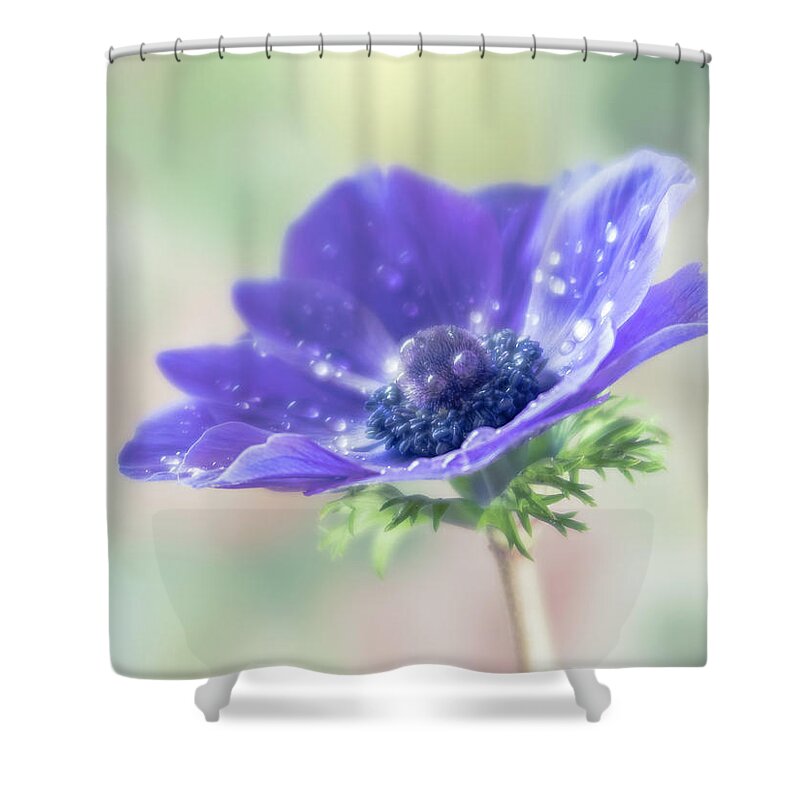 Anemone Shower Curtain featuring the photograph Purple is the pantone color for 2018. by Usha Peddamatham