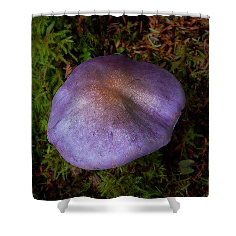 Mushroom Shower Curtain featuring the photograph Purple Mushroom-Signed-#6202 by J L Woody Wooden