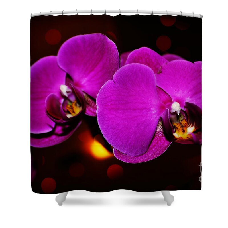  Shower Curtain featuring the photograph Purple Orchid by Mindy Bench