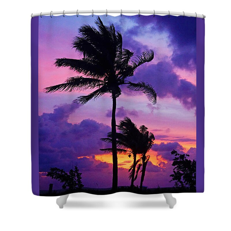 Purple Shower Curtain featuring the photograph Purple Palm Sunrise by Lawrence S Richardson Jr