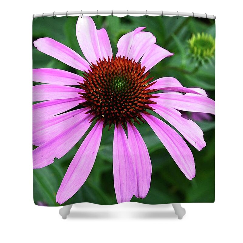 Abstract Shower Curtain featuring the digital art Purple Petals by Lyle Crump