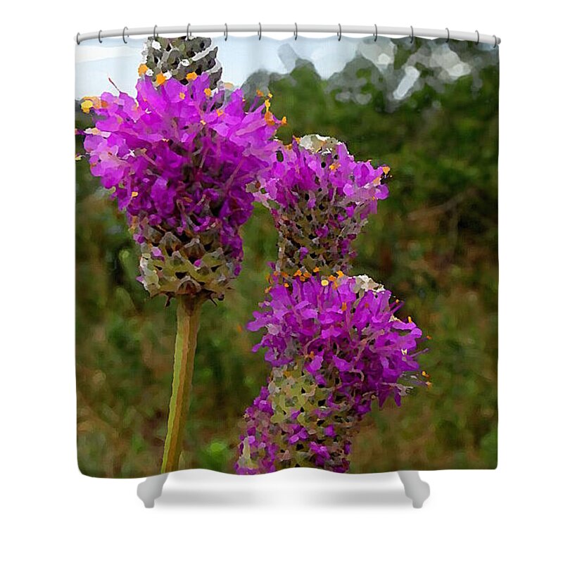 Botanical Shower Curtain featuring the mixed media Purple Prairie Clover by Shelli Fitzpatrick
