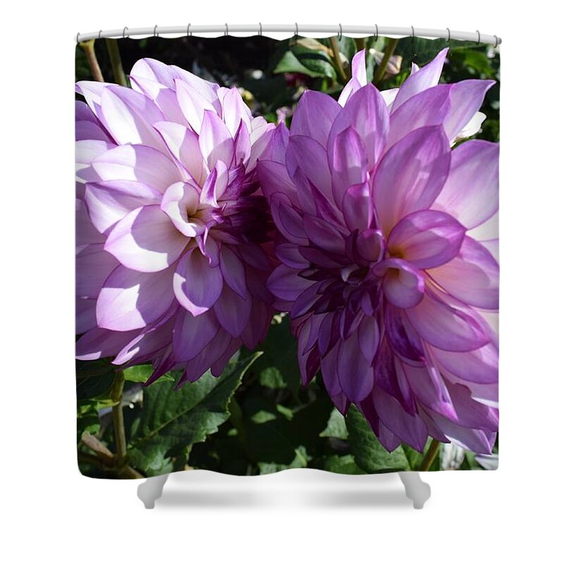 Purple Flower Shower Curtain featuring the photograph Purple Prettiness by Gallery Of Hope 