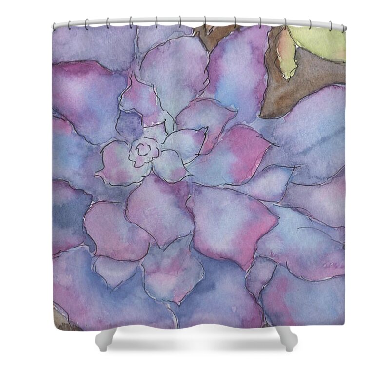 Watercolor Shower Curtain featuring the painting Purple Succulent by Marcy Brennan